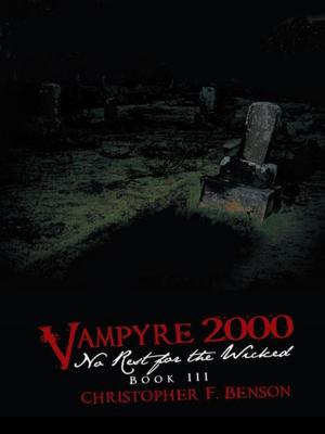 Cover of the book Vampyre 2000: No Rest for the Wicked by Dr. Rev. Diana B. St. Clair