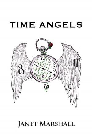 Cover of the book Time Angels by Carl Hose