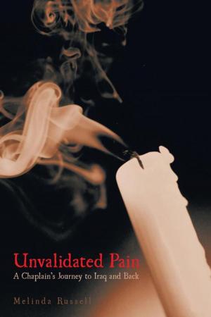 Cover of the book Unvalidated Pain by Lynda M. Means