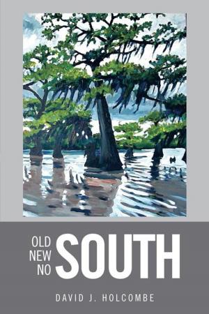 Cover of the book Old South, New South, No South by Emmanuel S. Kirunda