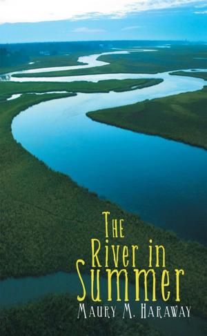 Cover of the book The River in Summer by Danielle Calhoun