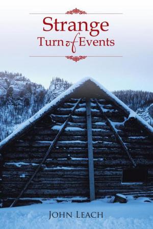 Cover of the book Strange Turn of Events by Janmarie Anello
