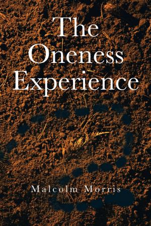 Cover of the book The Oneness Experience by John J. Kaminski