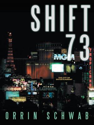 bigCover of the book Shift 73 by 
