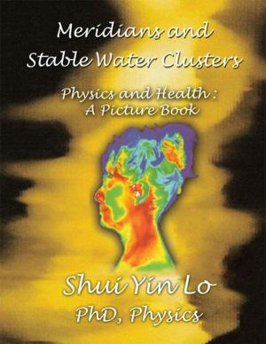 Cover of the book Meridians and Stable Water Clusters by Walt Brown