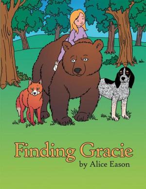 Cover of the book Finding Gracie by Anissa Stewart