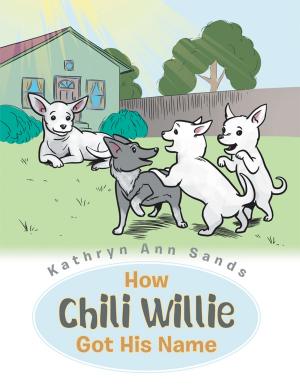 Cover of the book How Chili Willie Got His Name by Susan Brown and Anne Stephenson