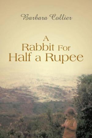 Cover of the book A Rabbit for Half a Rupee by Barbara J. Stevenson-Spurgon