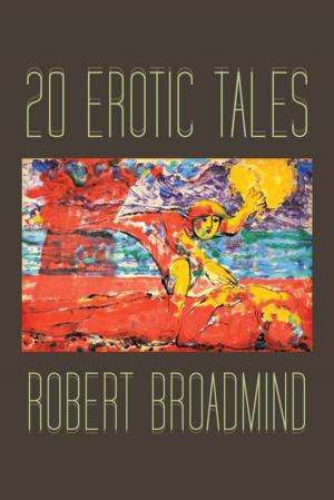 Cover of the book 20 Erotic Tales by Richard R. Golden  Sr.