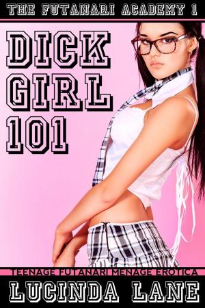 Book cover of Dickgirl 101 (Teenage Futanari Menage Erotica)