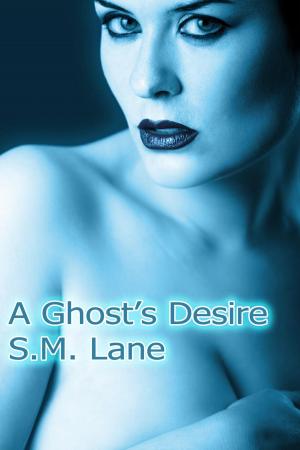 Cover of the book A Ghost's Desire (A Paranormal Romance) (Haunted Encounters - Book 1) by Mokkelke