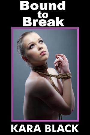 Cover of the book Bound to Break by Kara Black