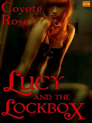 Cover of the book Lucy and the Lockbox by Conny van Lichte