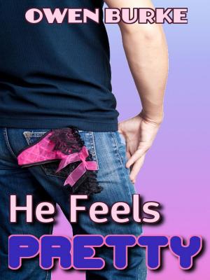 Book cover of He Feels Pretty (crossdressing / voyeurism / gay sex)
