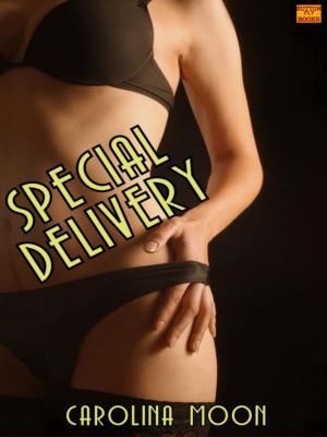 Cover of the book Special Delivery (Dirty Driver/Crafty Cougar) by Carolina Moon, Remington Scott, Coyote Rose