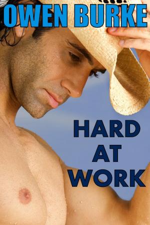 Cover of the book Hard At Work (Hot Gay Sex With Hard Horny Guys) by Carolina Moon, Remington Scott, Coyote Rose