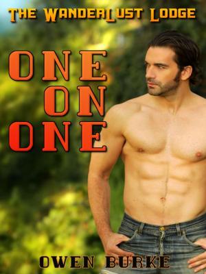Cover of One On One (WanderLust Lodge Gay Sex Collection)