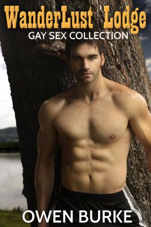 Book cover of The WanderLust Lodge Gay Sex Collection (M/M Erotica Bundle)
