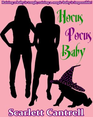 Book cover of Hocus Pocus Baby