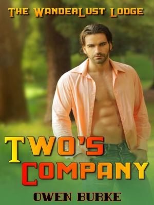 Cover of the book Two's Company (WanderLust Lodge Gay Sex Collection) by Carolina Moon