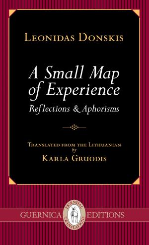 Cover of the book A Small Map of Experience by Maria Mazziotti Gillan