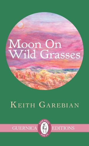 Book cover of Moon on Wild Grasses