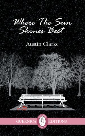 Cover of the book Where The Sun Shines Best by Julie Roorda