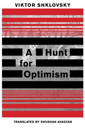 Cover of the book A Hunt for Optimism by Luis Magrinyà
