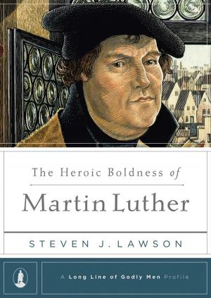 Book cover of The Heroic Boldness of Martin Luther