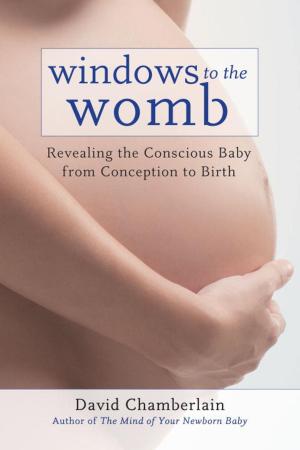 Cover of the book Windows to the Womb by Richard Grossinger