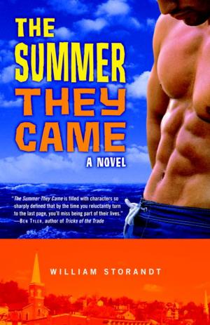 Cover of the book The Summer They Came by Sandra Chastain