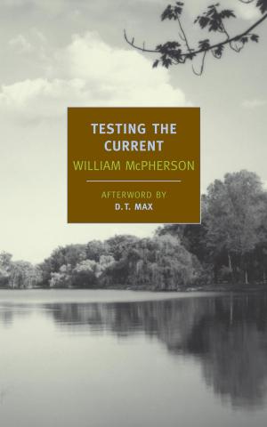 Cover of the book Testing the Current by Elizabeth Willis