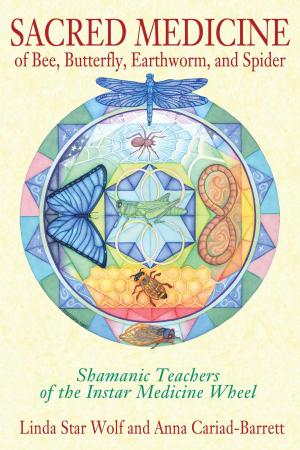 Cover of the book Sacred Medicine of Bee, Butterfly, Earthworm, and Spider by Tayo Knight