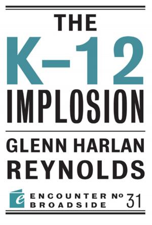 Cover of the book The K-12 Implosion by Peter J. Wallison