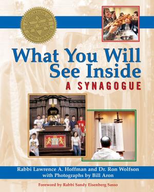 Book cover of What You Will See Inside a Synagogue