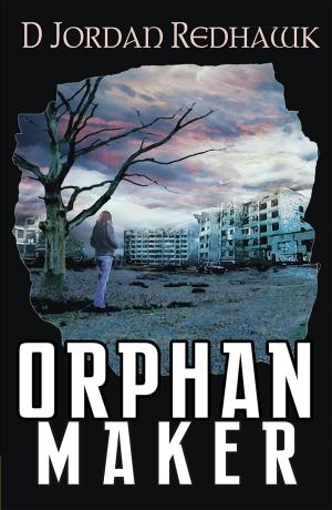 Cover of the book Orphan Maker by Karin Kallmaker
