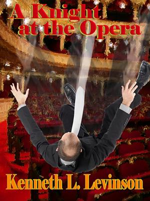 Cover of the book A Knight at the Opera by Ann Simko