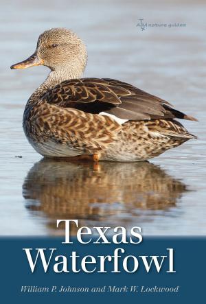 Book cover of Texas Waterfowl