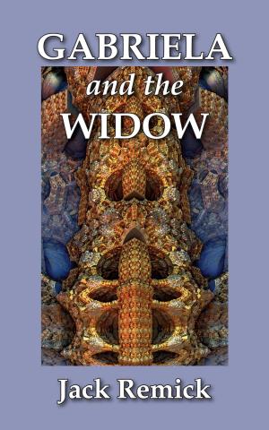 Cover of the book Gabriela and The Widow by Clive Rosengren
