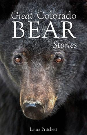 Book cover of Great Colorado Bear Stories