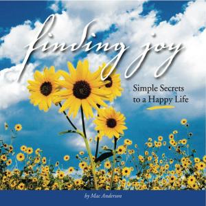 Cover of the book Finding Joy by Barbara Erskine