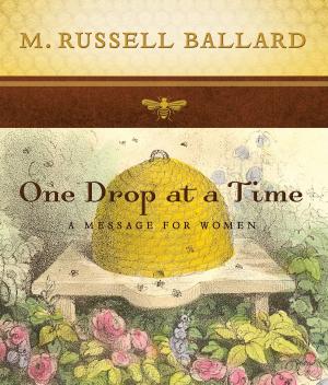 Cover of the book One Drop at a Time by Emily Freeman