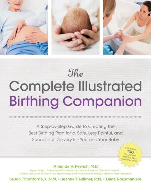 Book cover of The Complete Illustrated Birthing Companion