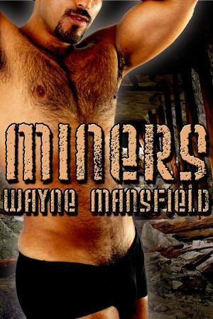 Cover of the book Miners by J.T. Marie