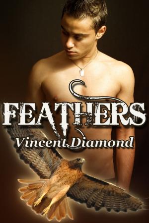 Cover of the book Feathers by Deedee The