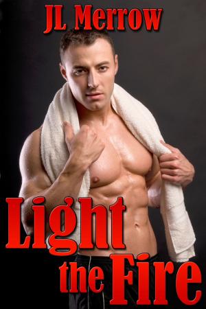 Book cover of Light the Fire