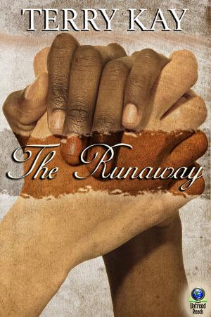 Cover of the book The Runaway by Corie L. Calcutt