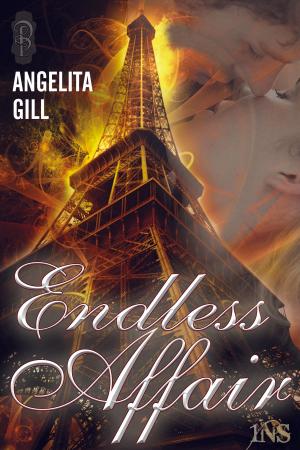 Book cover of Endless Affair