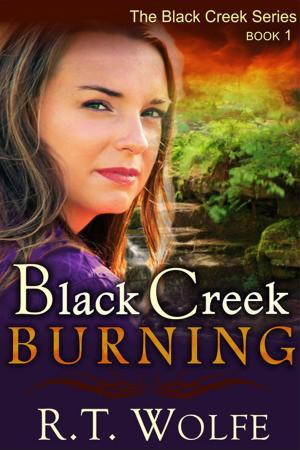 Book cover of Black Creek Burning (The Black Creek Series, Book 1)