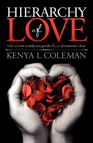 Cover of the book Hierarchy Of Love by Joel Comm